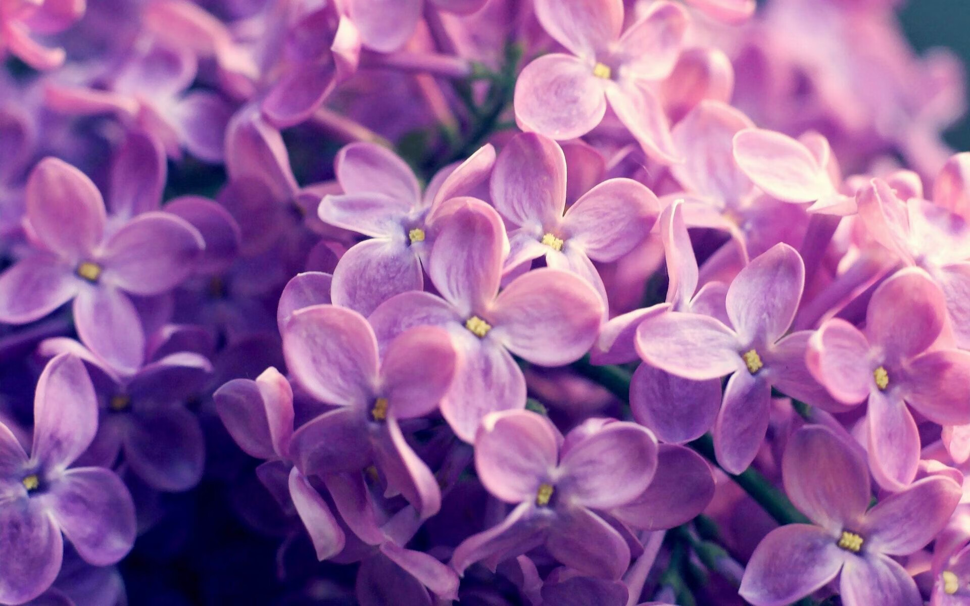 全国青少年篮球比赛“科技助力”环节引人注目,2021青少年篮球比赛