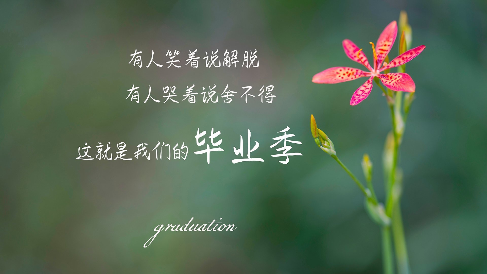 史上最“炸裂”的灌篮瞬间，谁的动作颠覆全场？，灌篮最厉害的球星