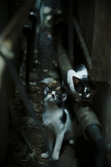 史上最“爆炸”逆转:那场比赛让所有观众疯狂!,爆炸排名视频