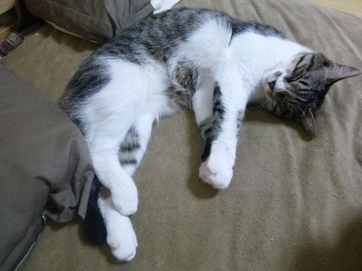 新兴市场：亚洲、非洲成为新的增长点，新兴市场什么意思