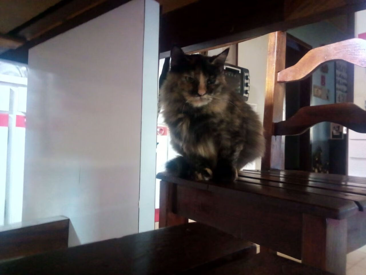 赛季最佳进球和助攻集锦,精彩不断,nba赛季最佳进球