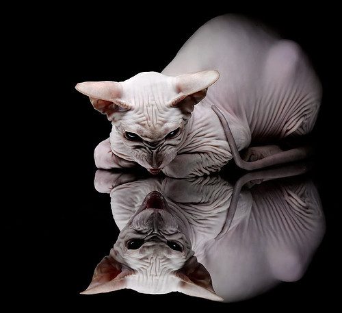 跑跑卡丁车“极速穿越”大赛,速度PK比拼极限,跑跑卡丁车越级挑战