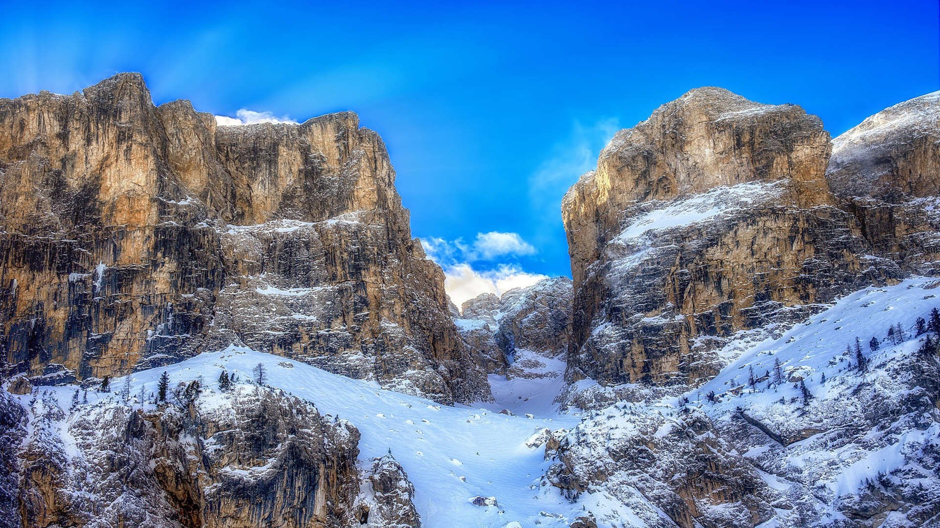 某队在大赛中扬眉吐气，赢得赞誉与掌声，在比赛期间,某队领队向总裁判出示证据