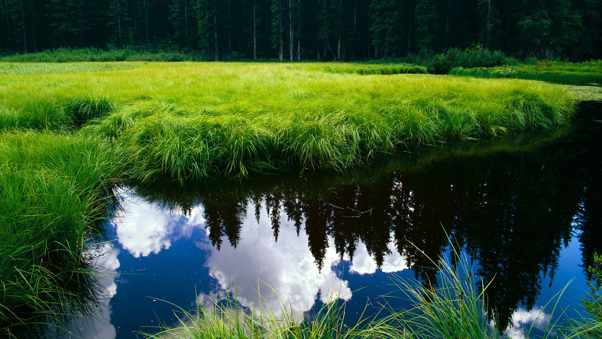 深度解析射击比赛中的心理因素，深度解析射击比赛中的心理因素有哪些