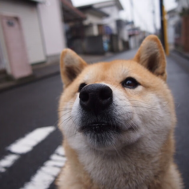 湖人击败雷霆，系列赛焦点战中詹姆斯贡献关键助攻，湖人惨败雷霆