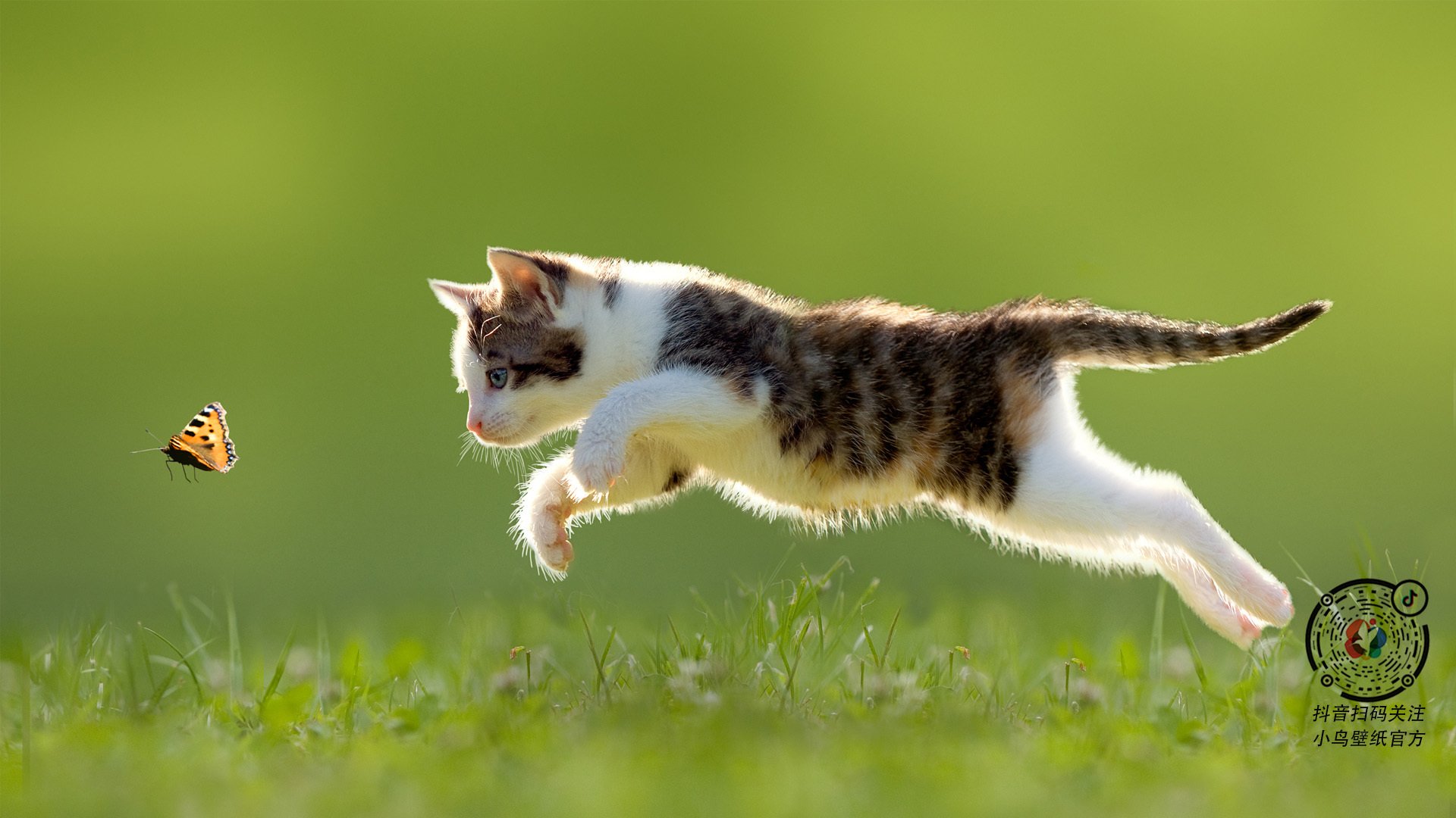 狼队客场挑战伯恩茅斯，艰难取胜积分不断，狼队 伯恩利