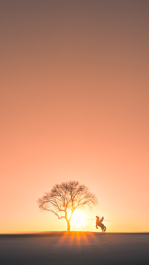 非洲篮球运动员健康管理加强,非洲篮球运动员健康管理加强训练方法