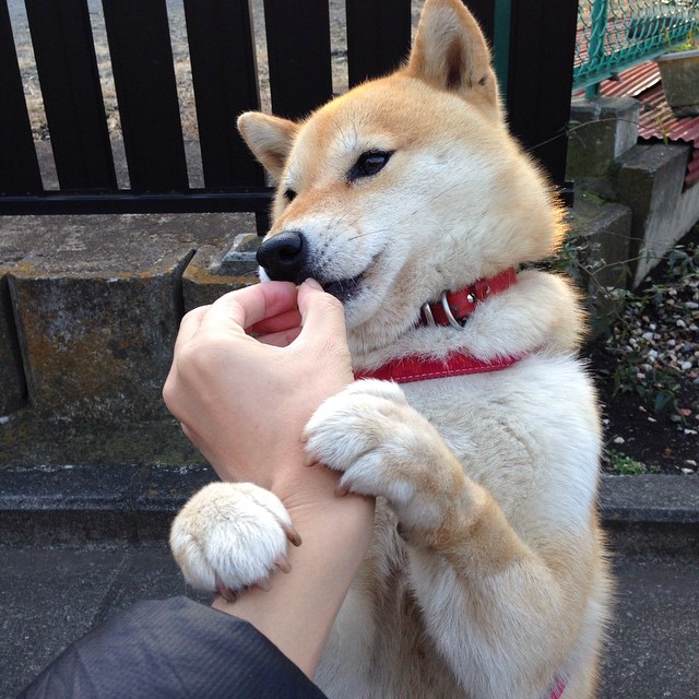 马洛卡边路渗透打破防守均衡,马洛卡31轮