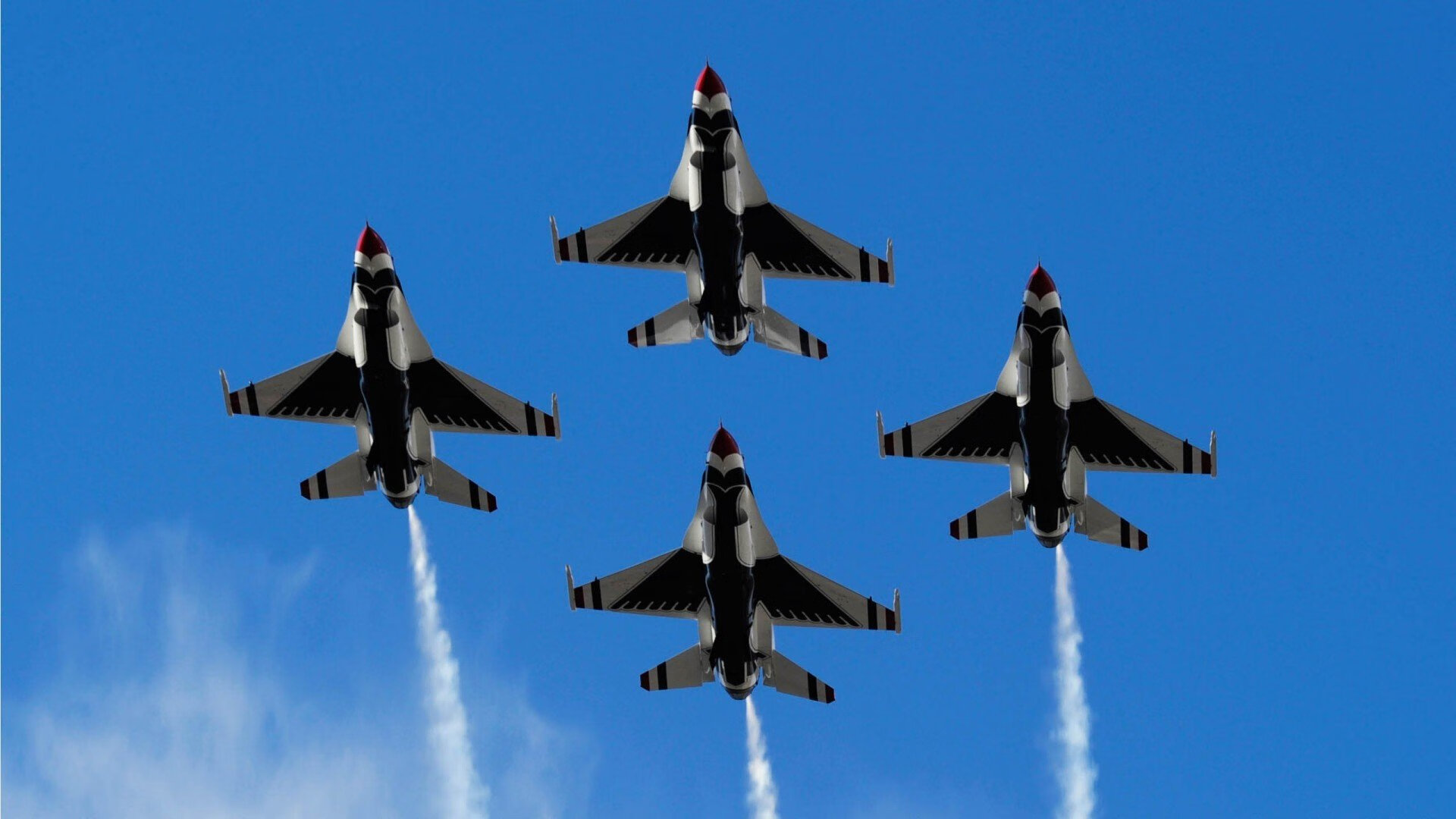 南非羚羊队:随着比赛进程推进,他们的攻势变得越来越猛烈,非洲羚羊的种类及名称