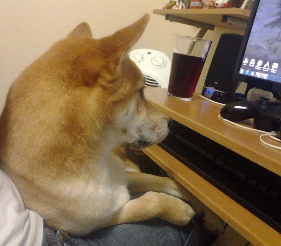 马修·图穆亚在关键时刻的突破与反击，让袋鼠队屡屡逆转局面，马修穆勒